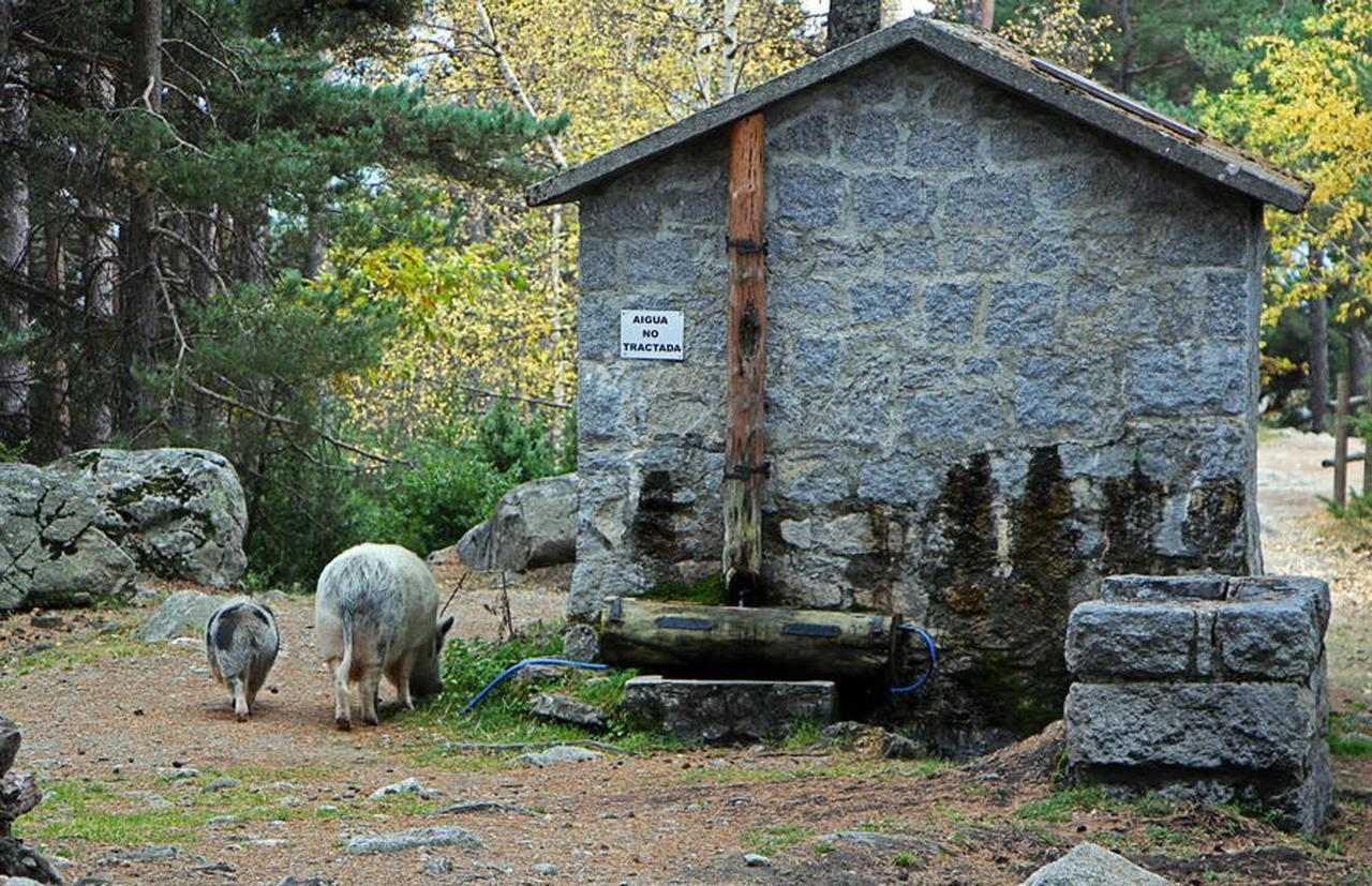 Hotel Camp del Serrat 3* Les Escaldes